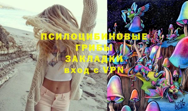 марки lsd Гусев