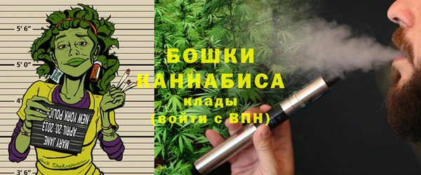 гашик Дмитровск