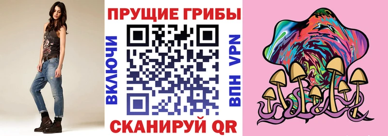 Псилоцибиновые грибы Cubensis  Купить где  Фрязино 